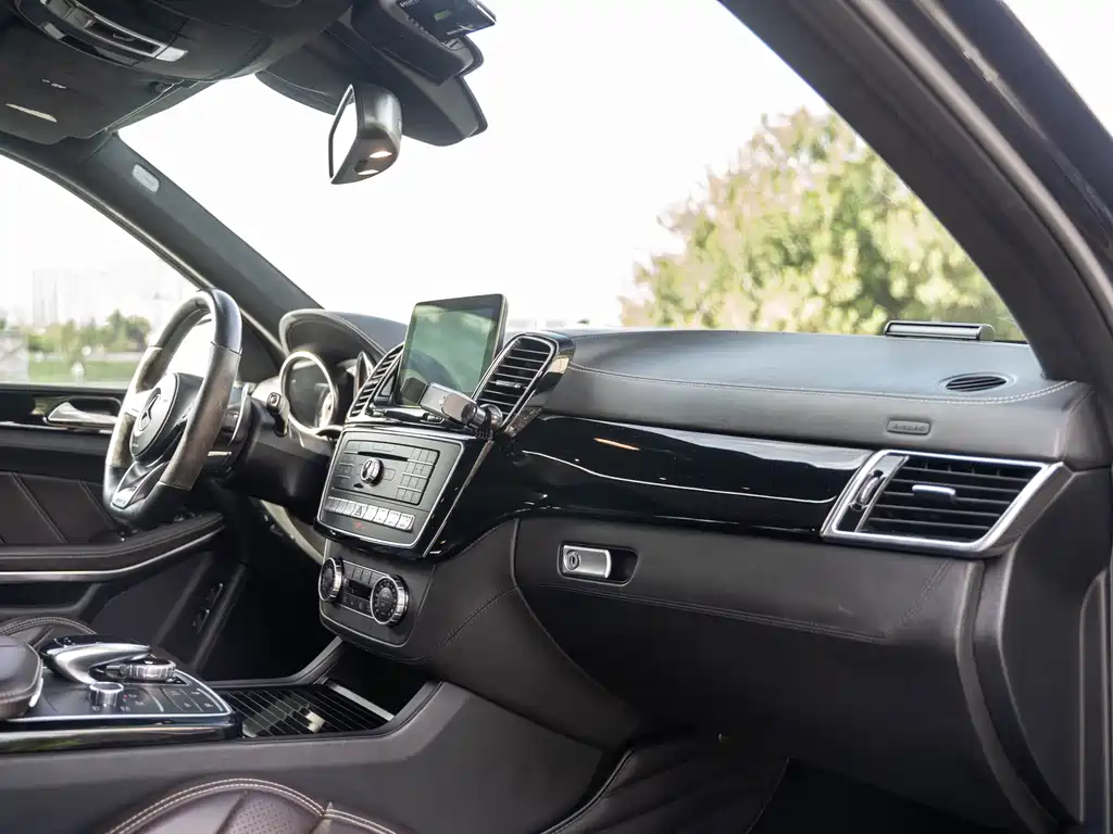 Mercedes-Benz GLS AMG 2017 — фото 17