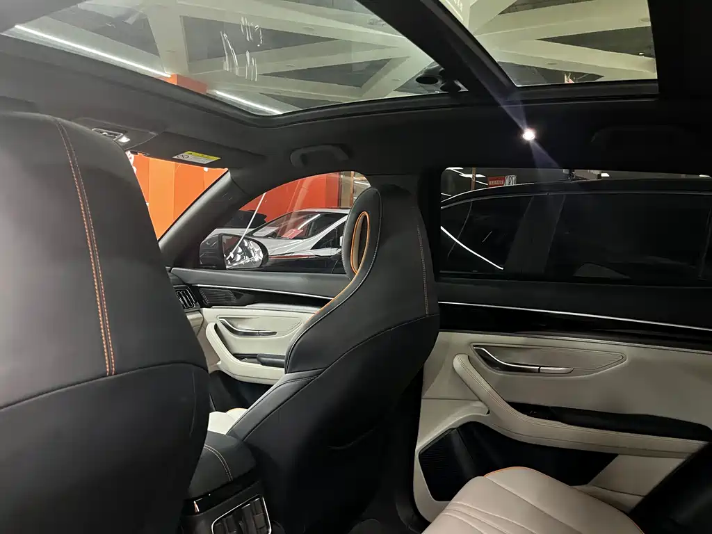 BYD Song PLUS New Energy 2021 — фото 12