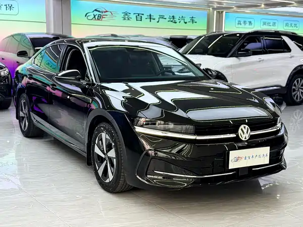 Volkswagen Magotan 2024