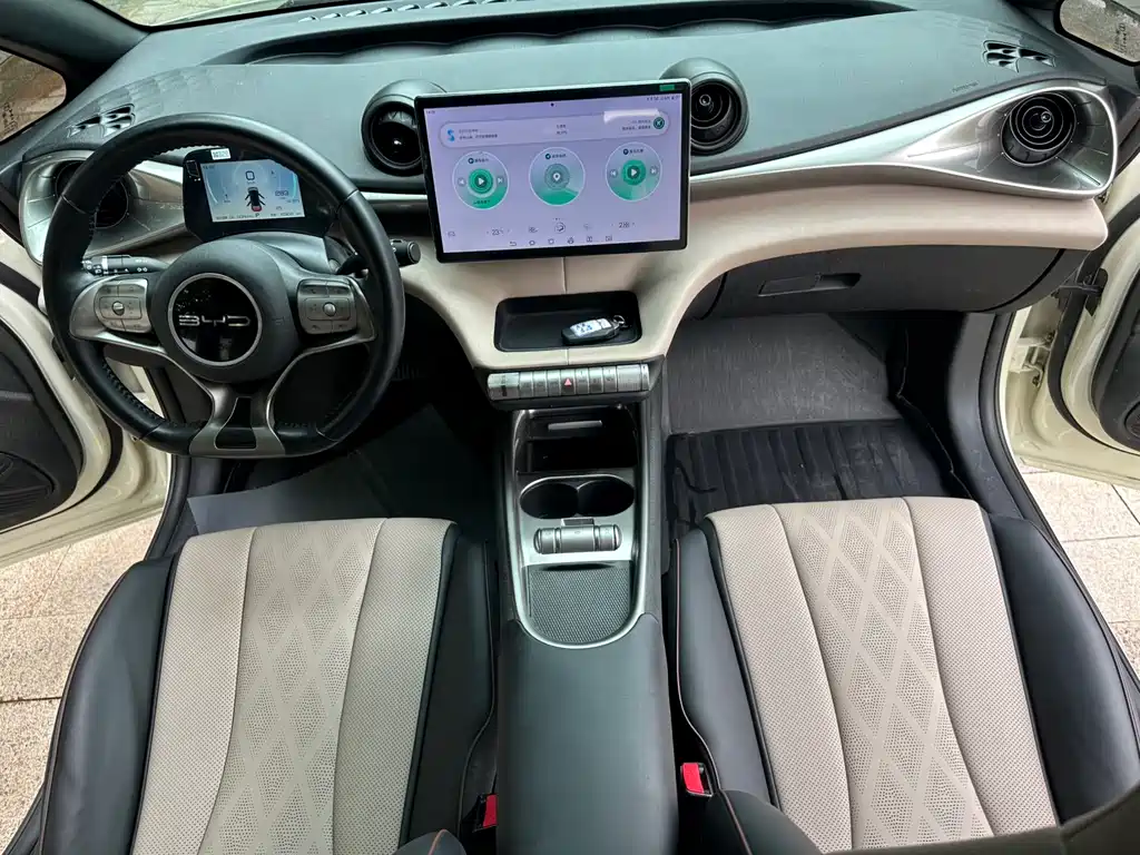 BYD Dolphin 2023 — фото 19