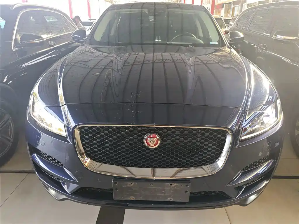 Jaguar F-PACE 2019 — фото 19