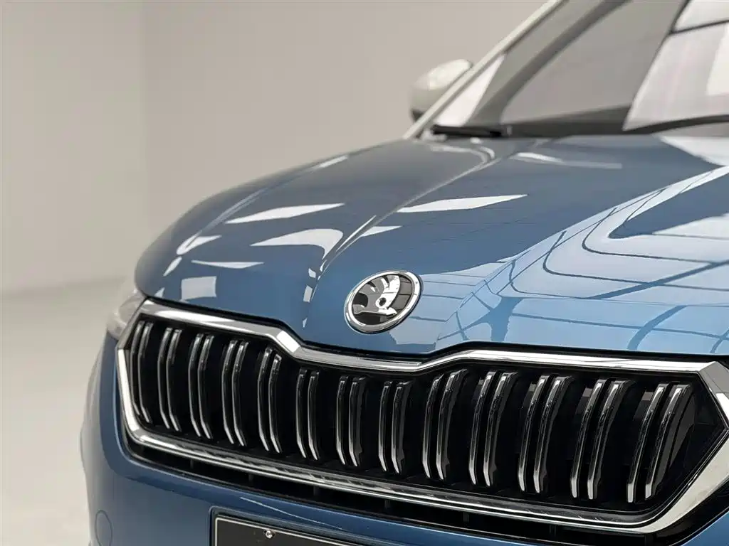 Skoda Kamiq 2020 — фото 4