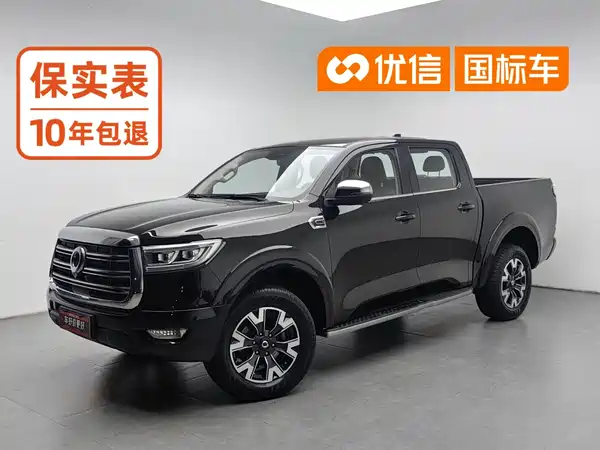 Great Wall Poer 2020