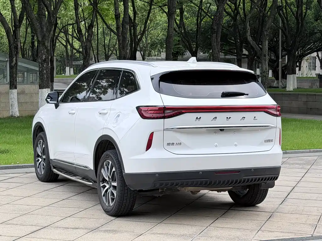 Haval H6 2021 — фото 14