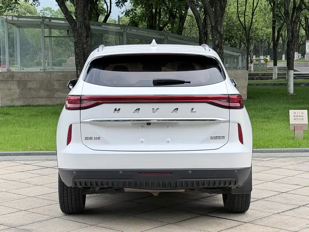 Haval H6 2021 — фото 15