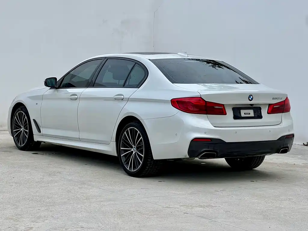 BMW 5 Series 2019 — фото 15