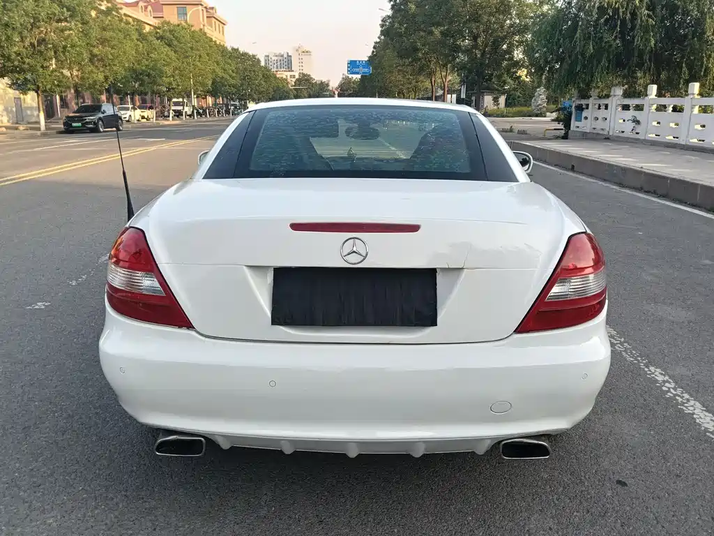 Mercedes-Benz SLK-Class 2010 — фото 4