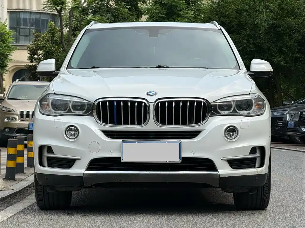 BMW X5 2014 — фото 1