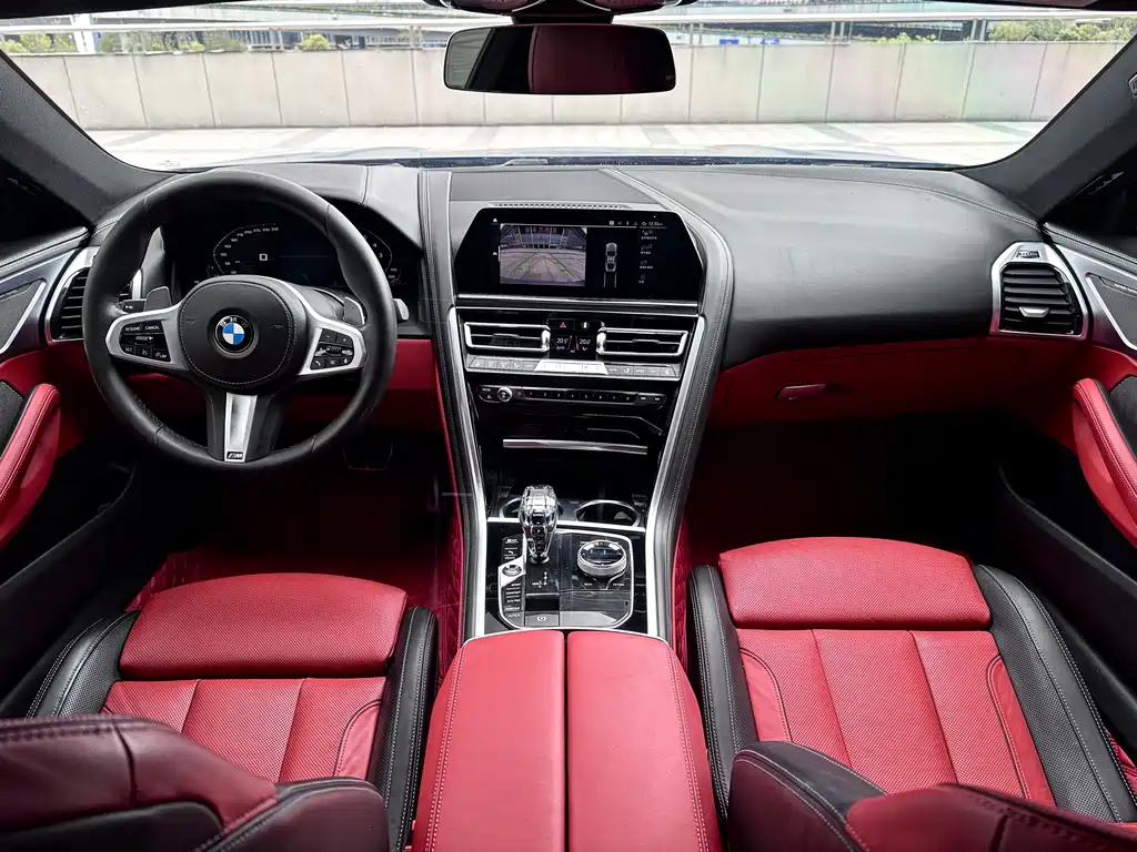 BMW 8 Series 2020 — фото 14