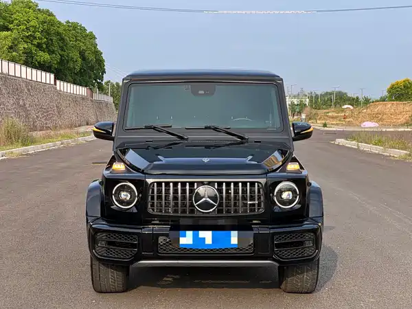 Mercedes-Benz G-Class 2011
