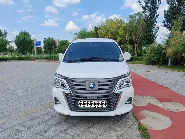 Dongfeng Lingzhi New Energy 2023