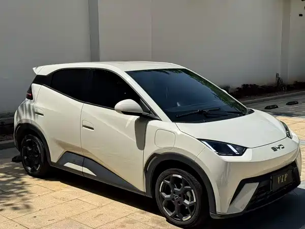 BYD Seagull 2024