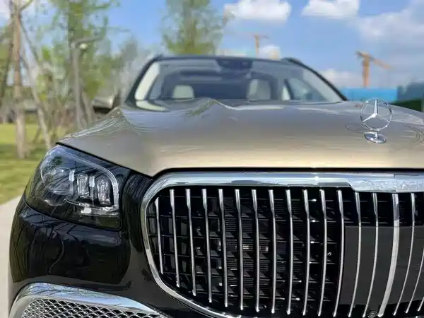 Mercedes-Benz Maybach GLS 2022