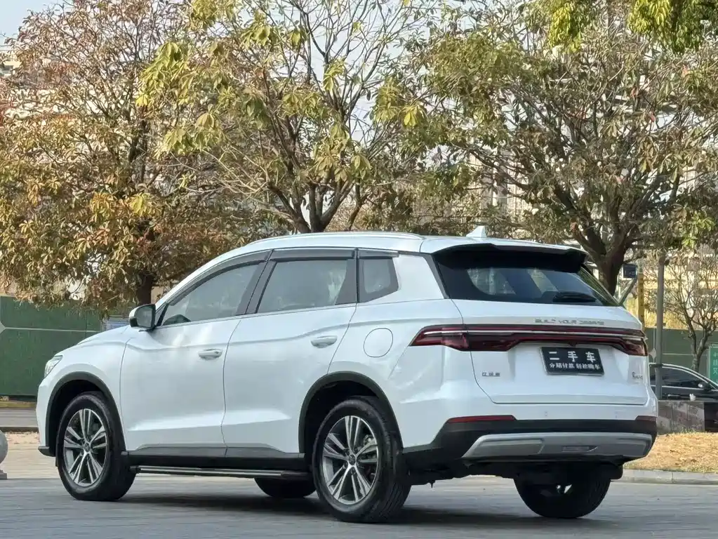 BYD Pro 2020 — фото 5