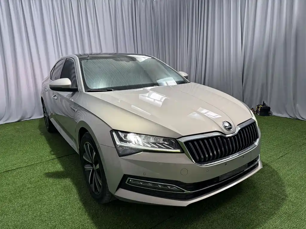 Skoda Speedy 2022