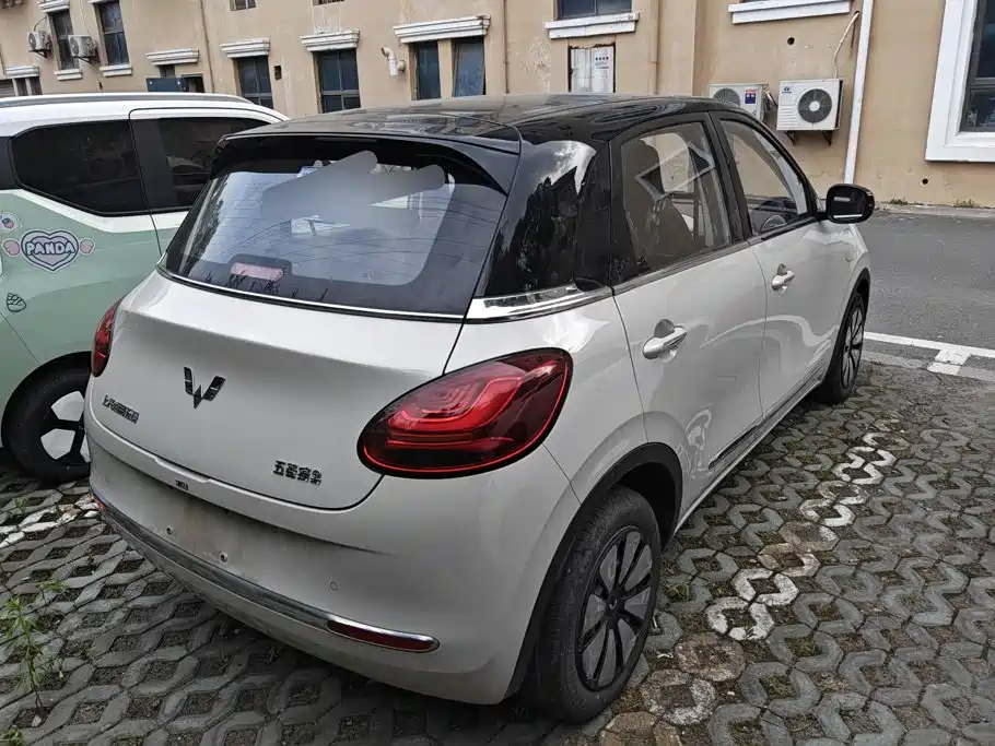 Wuling Bingo 2024
