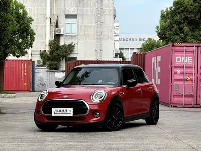 MINI MINI 2020