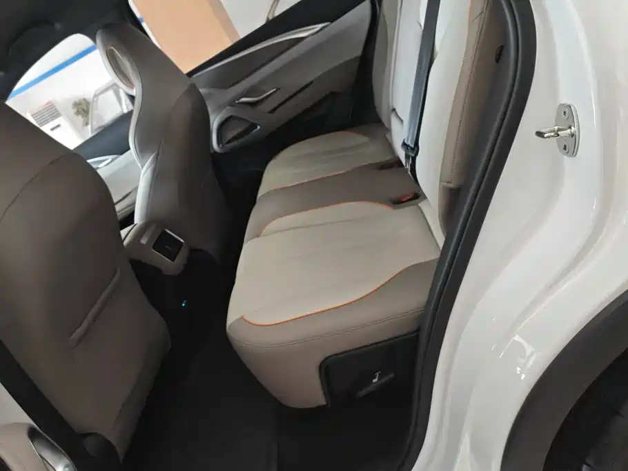 BYD Song Pro New Energy 2024 — фото 11