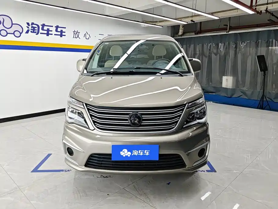 Fengxing Lingzhi 2022