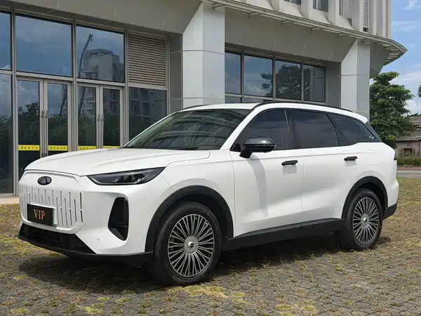 Chery Fengyun T9 2024