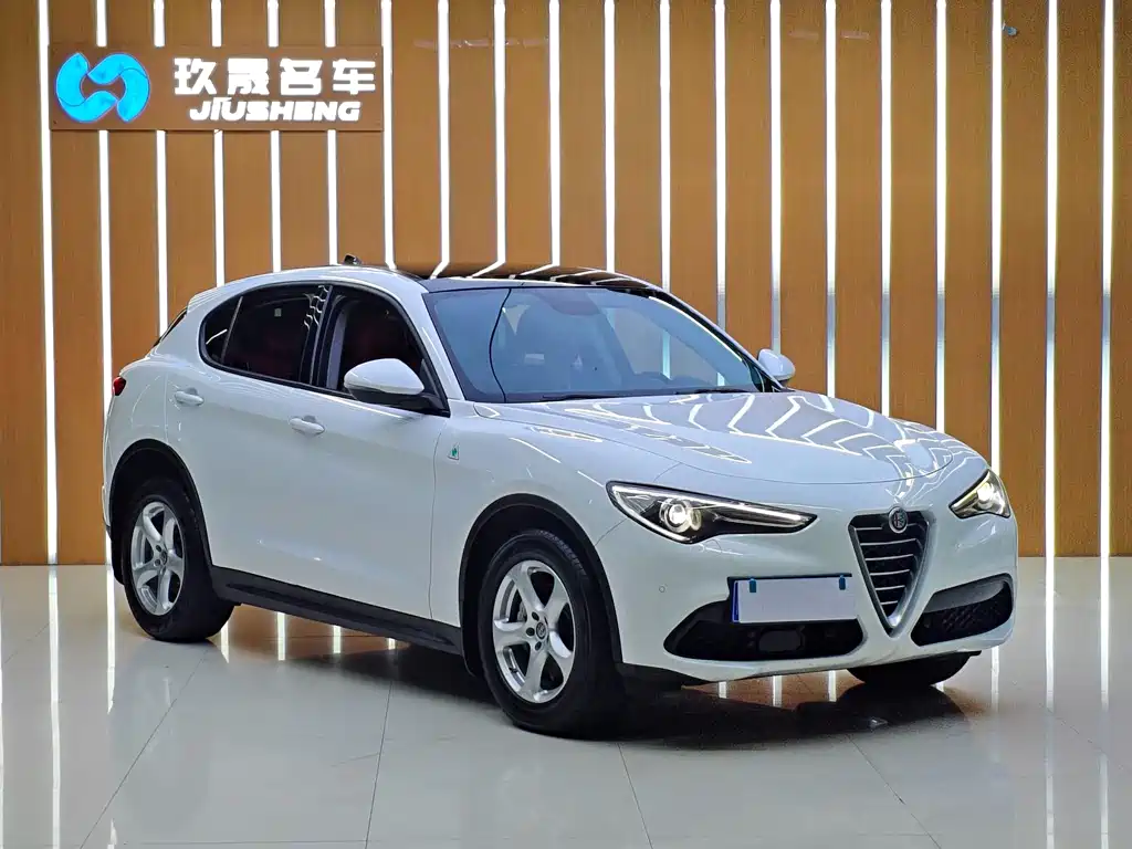Alfa Romeo Stelvio 2019 — фото 2