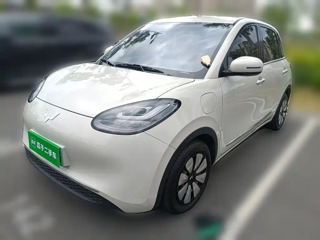 Wuling Bingo 2024