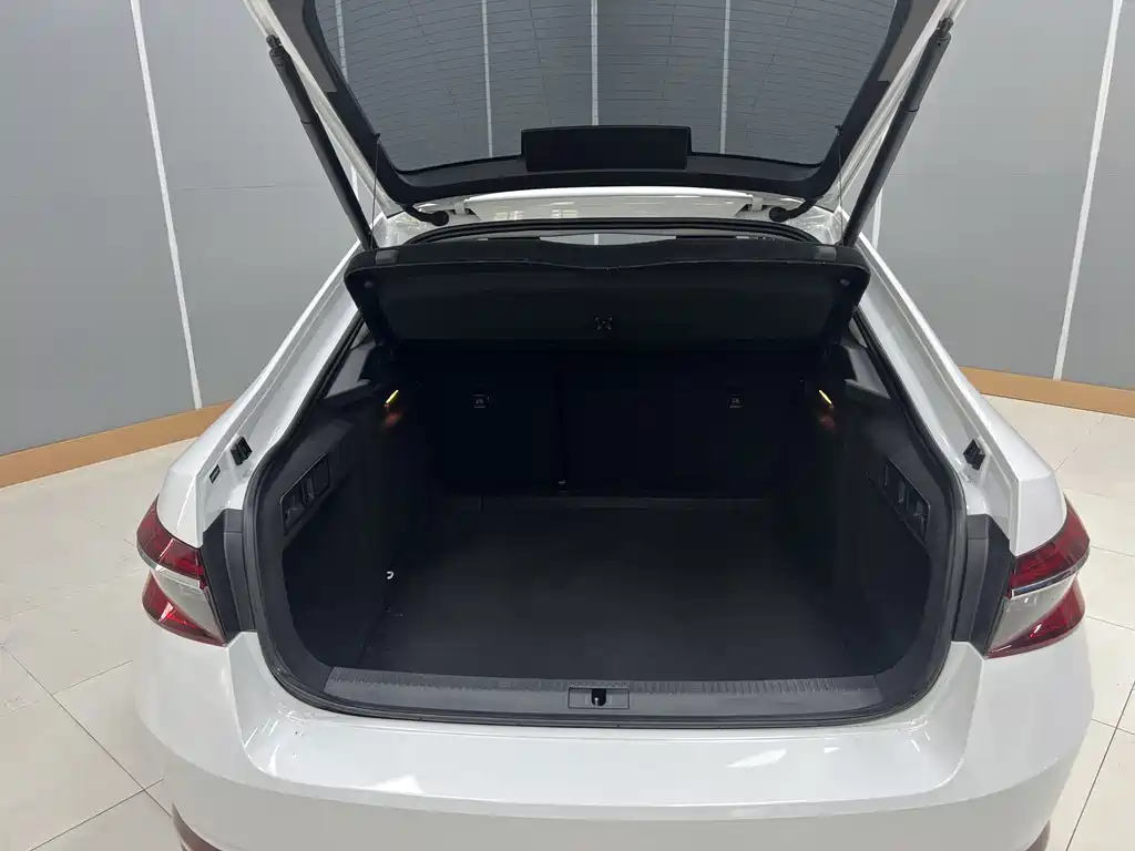 Skoda Speedy 2023 — фото 18