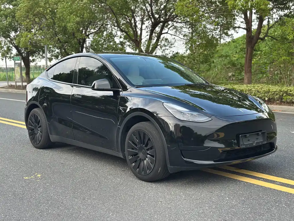 Tesla Model Y 2024 — фото 3