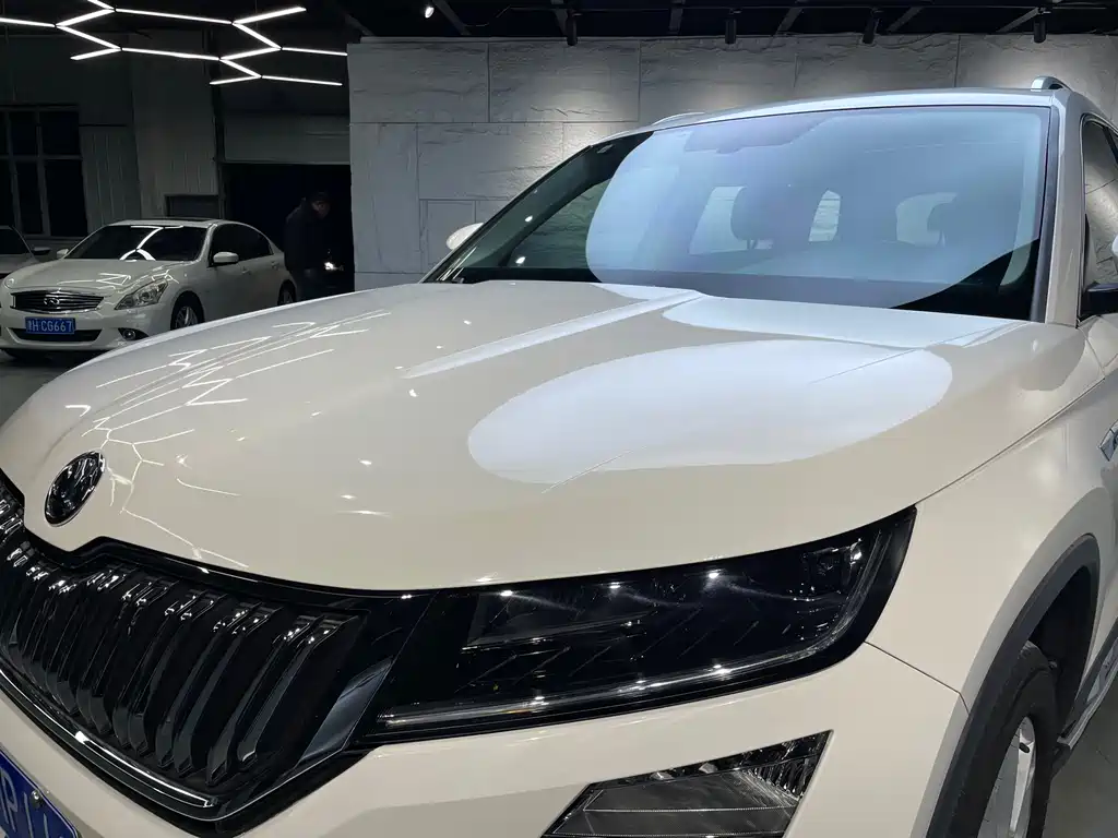 Skoda Kodiaq 2017 — фото 14