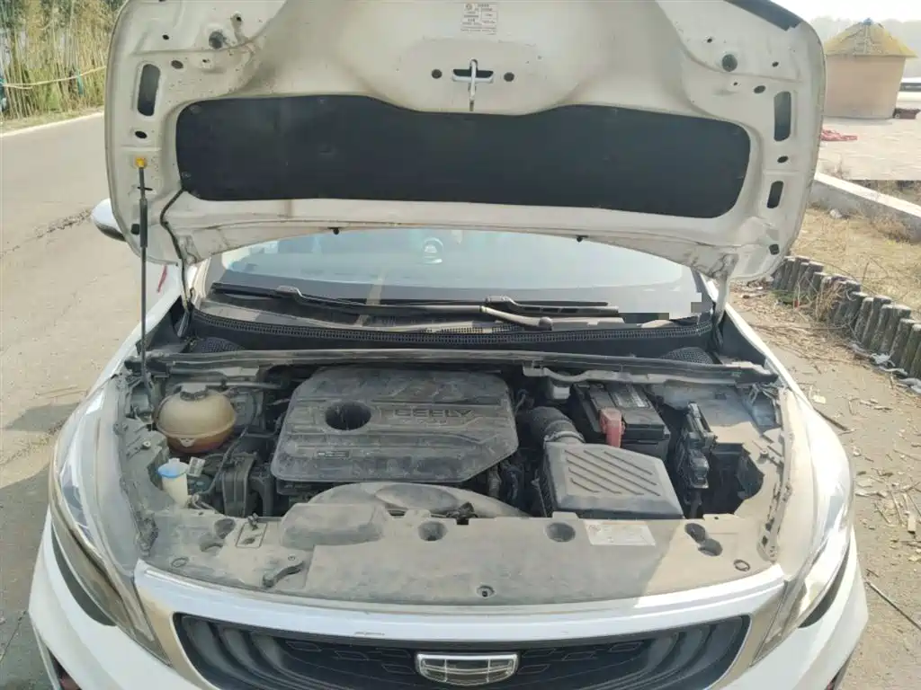 Geely Emgrand GS 2020 — фото 11