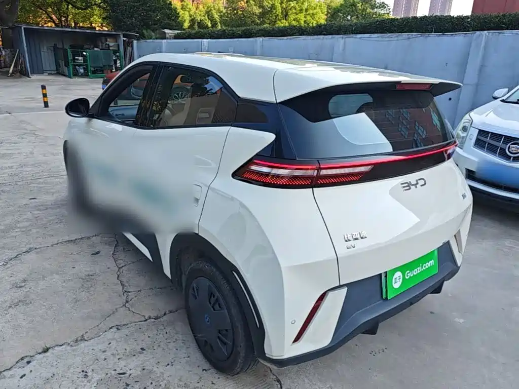BYD Seagull 2024