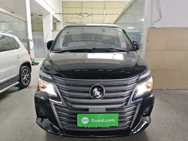 Dongfeng Lingzhi 2024