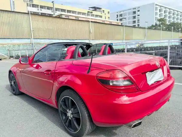 Mercedes-Benz SLK-Class 2010