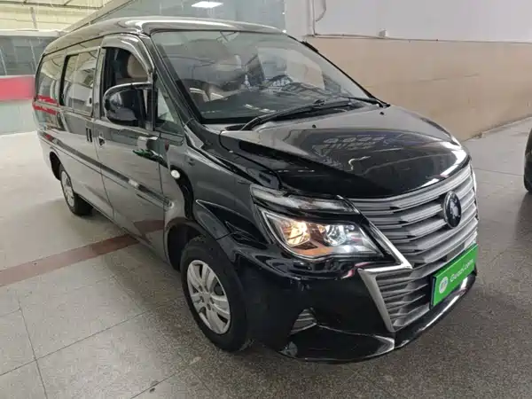 Dongfeng Lingzhi 2024