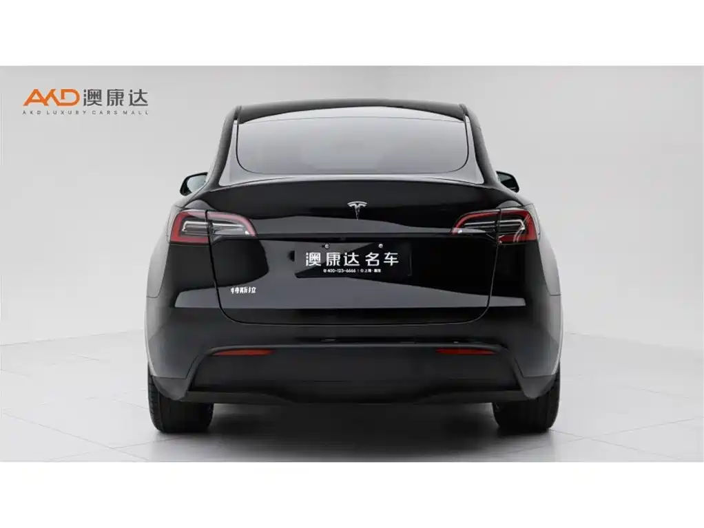 Tesla Model Y 2023 — фото 4