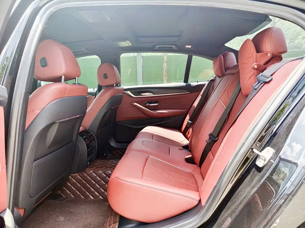 BMW 5 Series New Energy 2021
