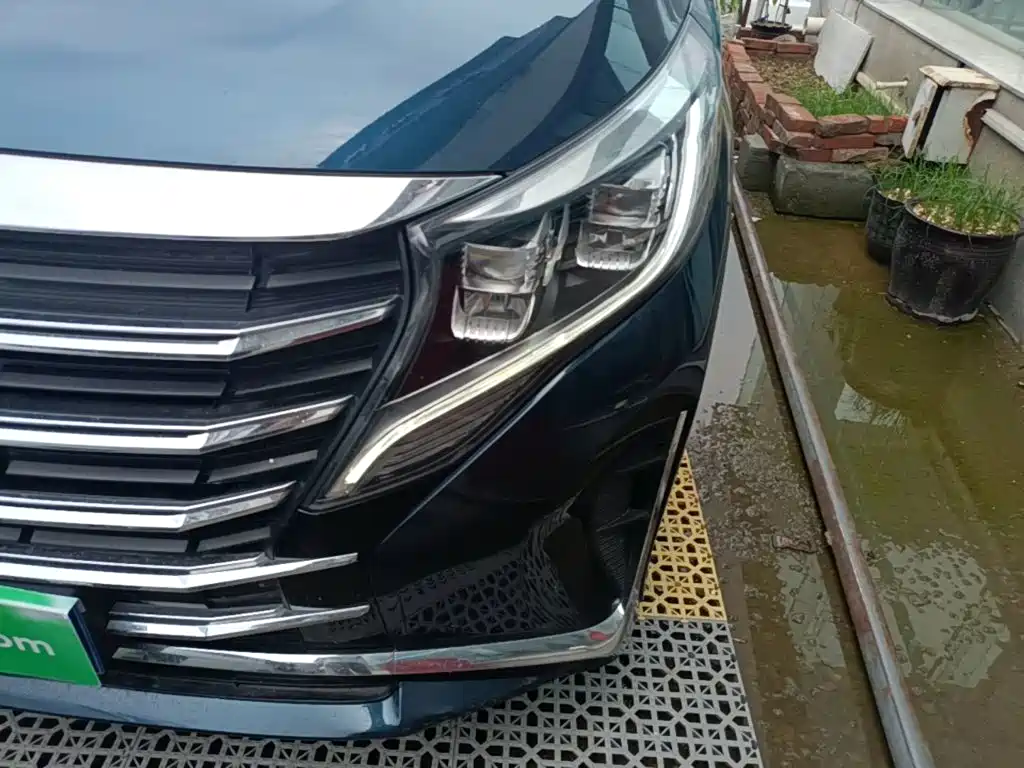 GAC Trumpchi M8 2021 — фото 24