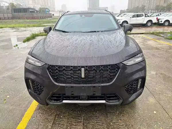 Wey VV7 2019