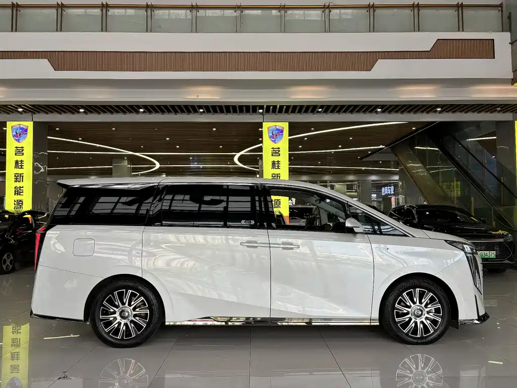 GAC Motor Trumpchi E9 2023 — фото 14