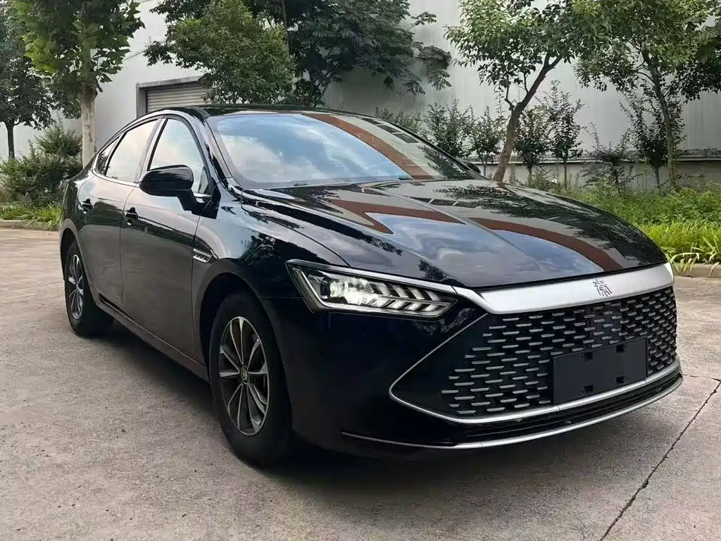 BYD Qin PLUS 2024 — фото 9
