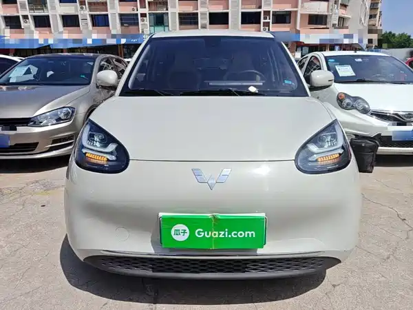 Wuling Bingo 2024