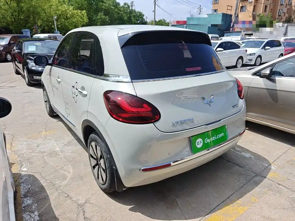 Wuling Bingo 2024