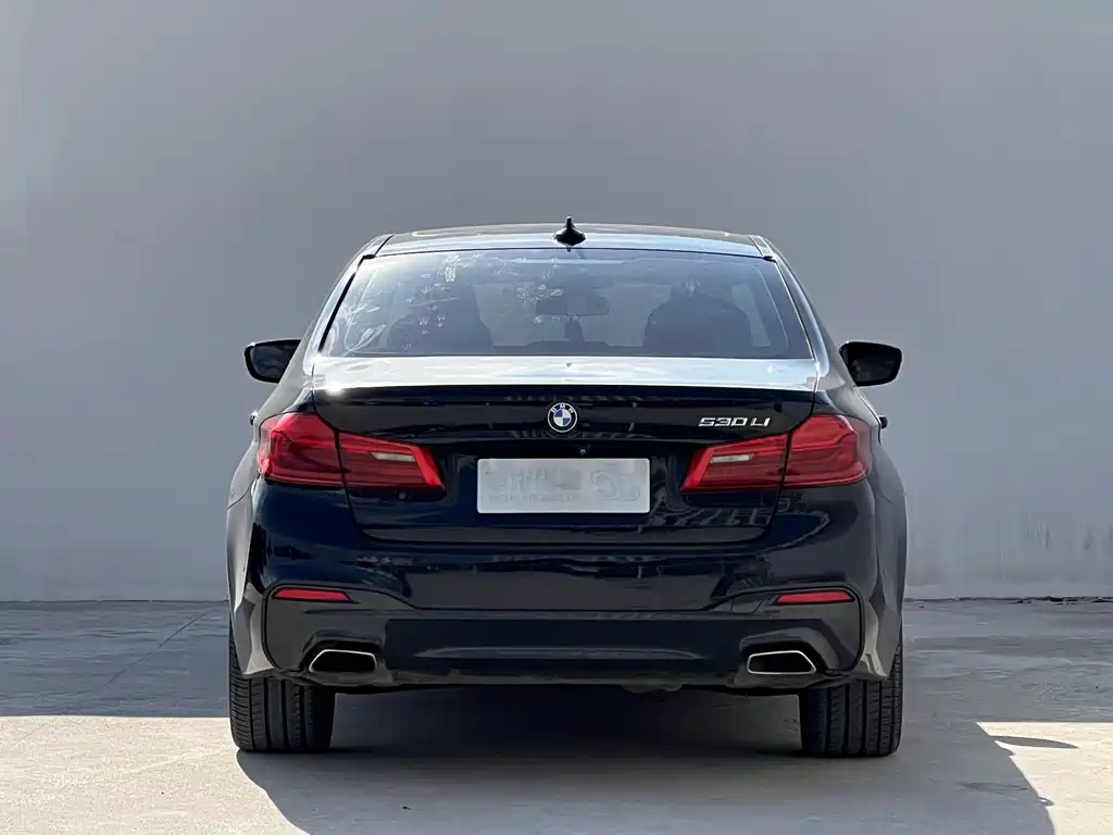 BMW 5 Series 2019 — фото 9