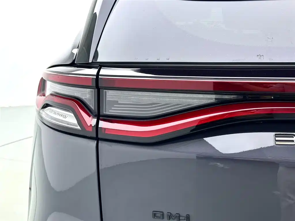 BYD Tang New Energy 2021 — фото 3