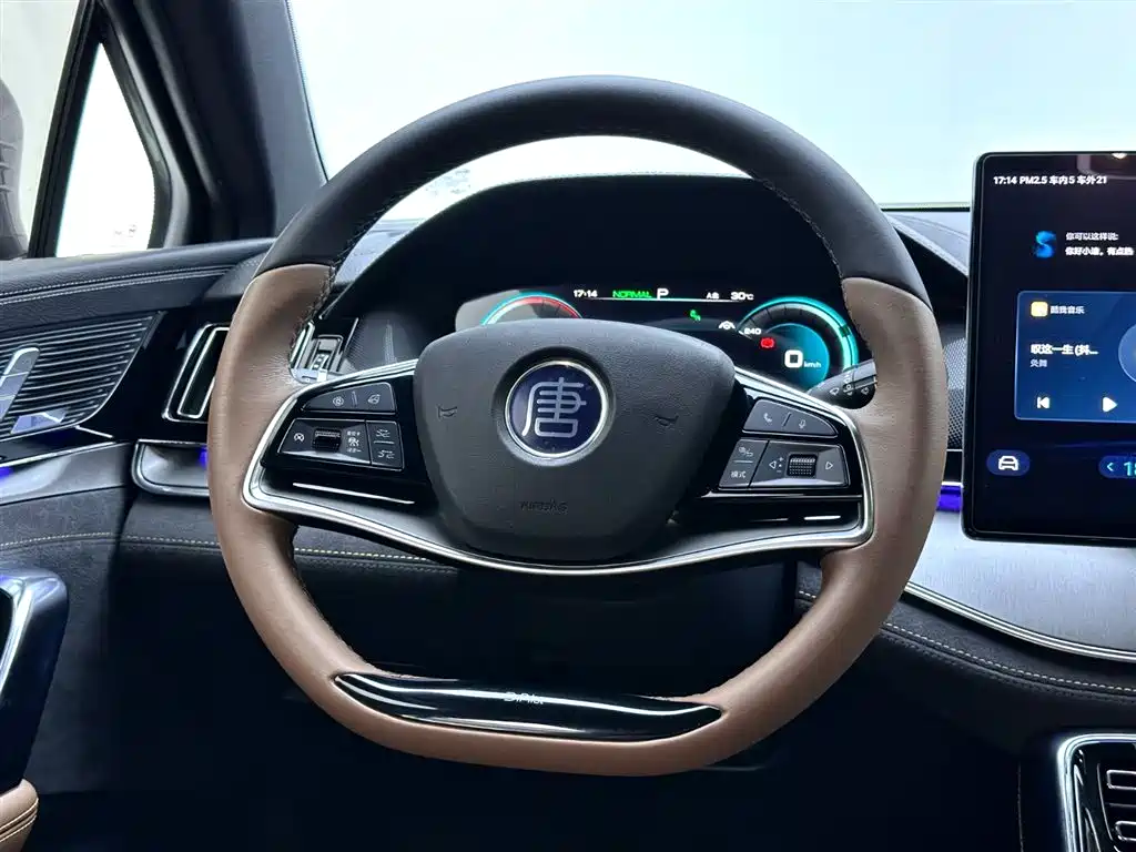 BYD Tang New Energy 2021 — фото 10