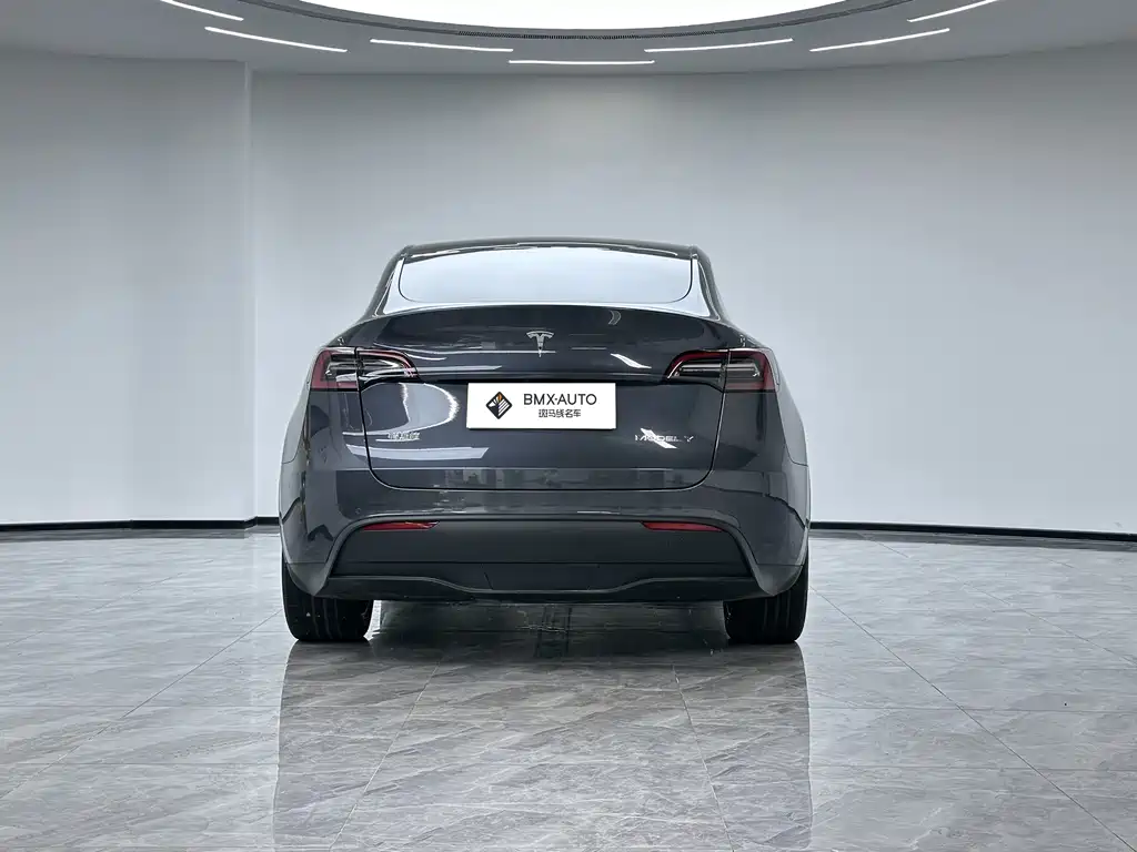 Tesla Model Y 2023 — фото 6