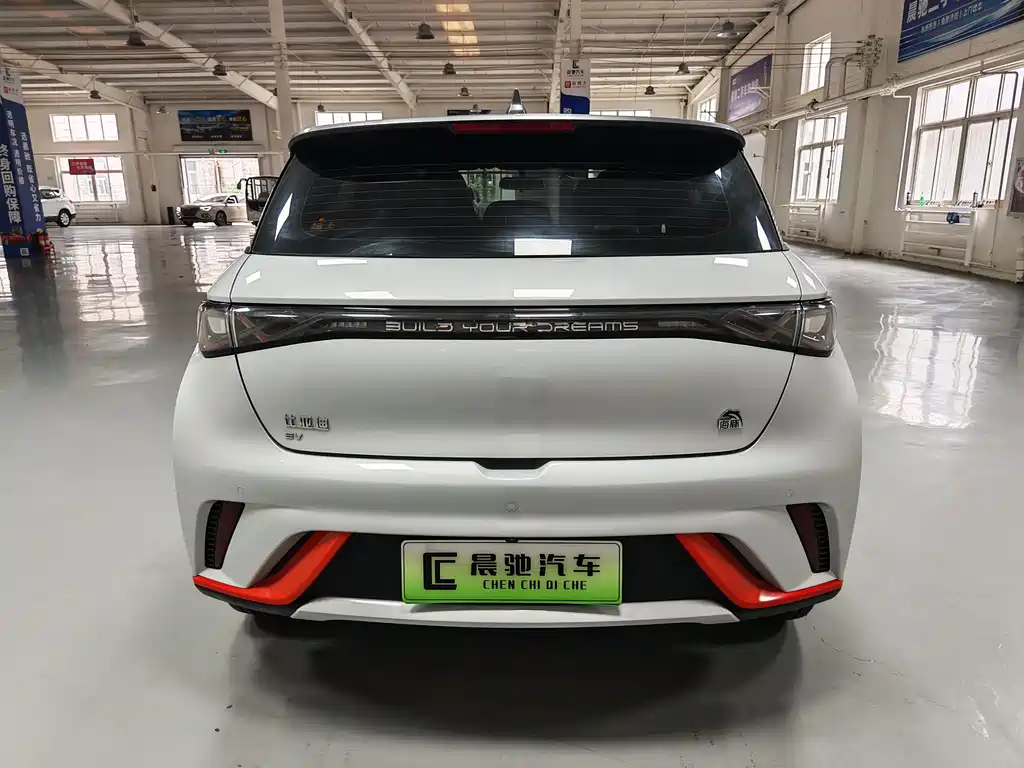 BYD Dolphin 2021