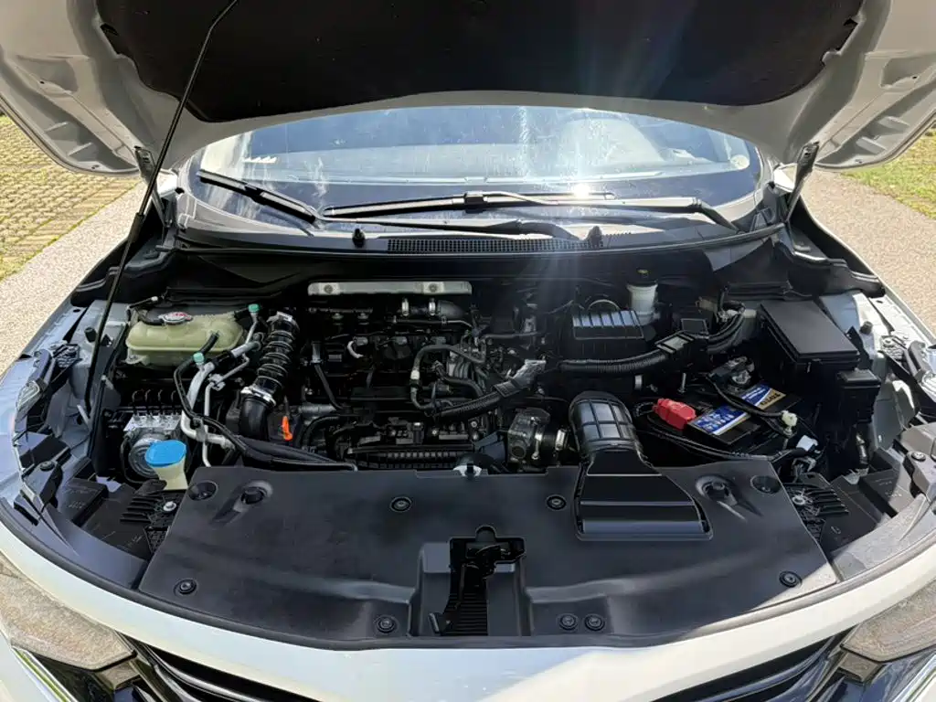 Honda Envix 2022