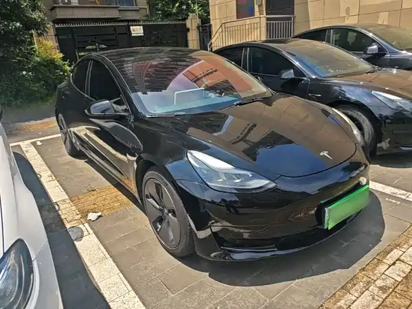 Tesla Model 3 2021