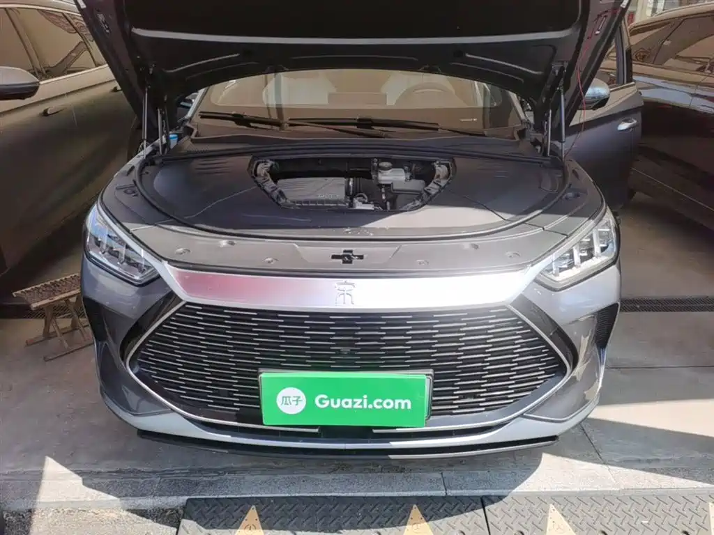 BYD PLUS New Energy 2022 — фото 20